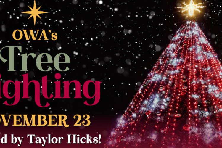 OWA's Annual Tree Lighting Ceremony Hosted by Taylor Hicks!