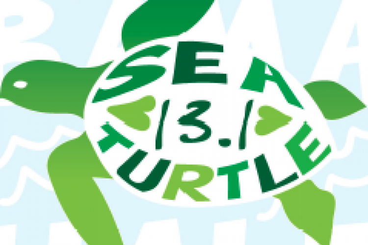 sea turtle half marathon